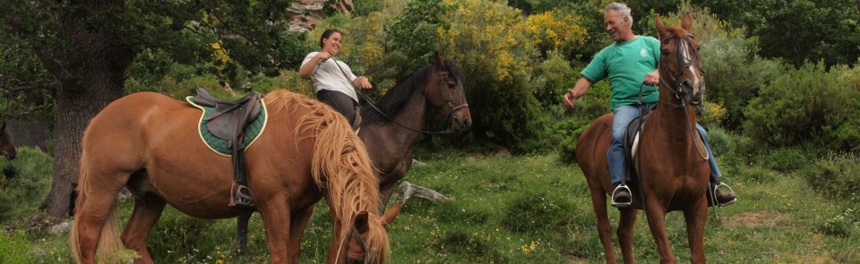 Turismo Ecuestre Abiada Rutas A Caballo En Campoo De Suso